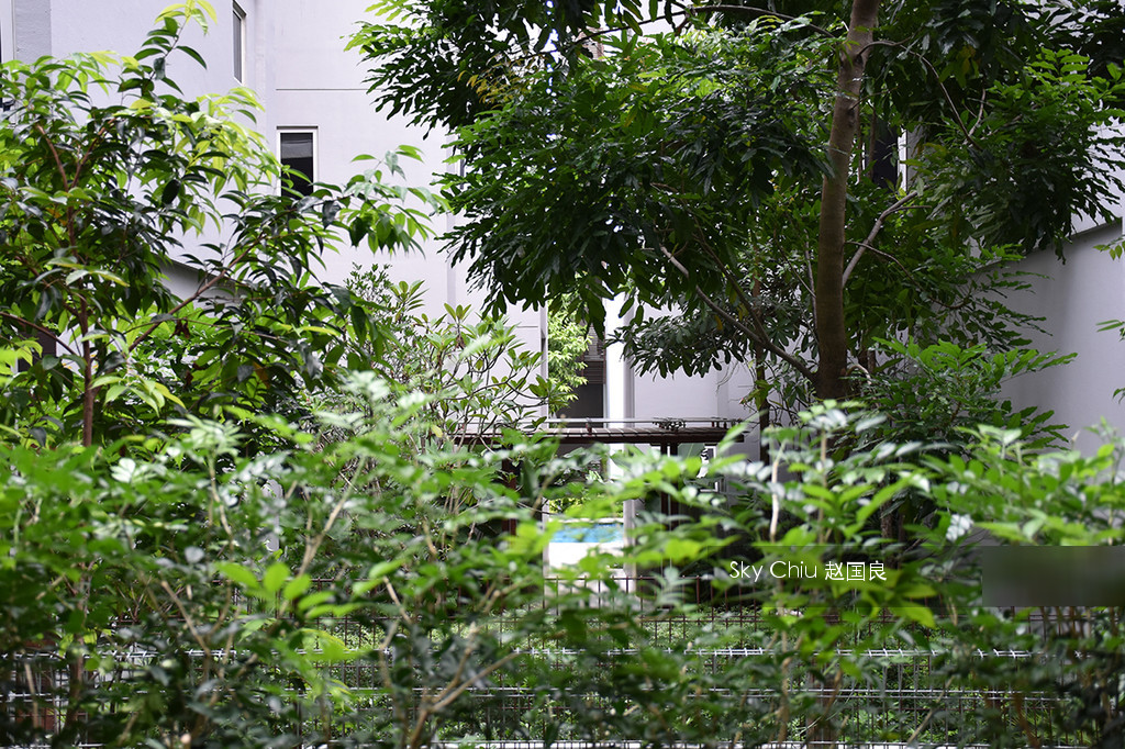Seletar Park Residence (D28), Condominium #106929862